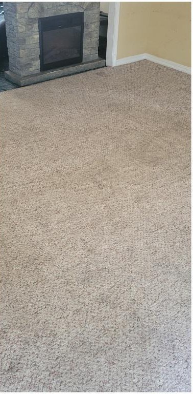 Living room, heavy traffic after cleaning